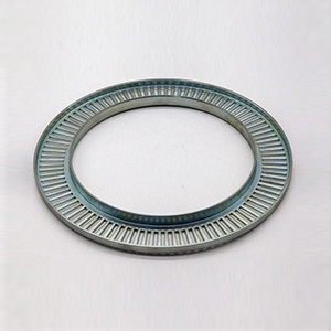 Metal Stamping Brake Exciter Ring